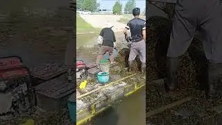 Два варианта лодки косилка для уборки водной растительности и покоса камыша /boat mower berky