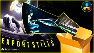 3 Ways to EXPORT a STILL as IMAGE out of DaVinci Resolve