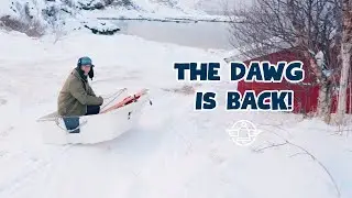 Denim Dawg Is Back!