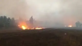 Степной пожар достиг села в ЗКО