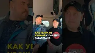 Заработал 2 машины на уборке урожая! Кто и как убирает поля Татарстана? #татарстан #казань #shorts