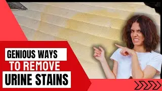 How To Clean Urine Out Of A Mattress? Easy Cleaning Methods