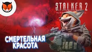 Полное погружение | S.T.A.L.K.E.R. 2: Heart of Chornobyl | #3 