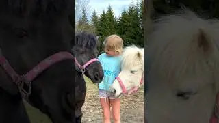 Ella and her ponies❤️ Together forever!😍 #pony #horse #equestrian #pferde
