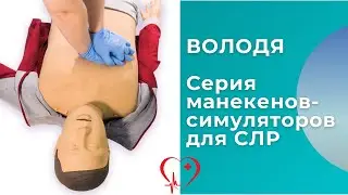 Обзор серии манекенов-симуляторов для отработки навыков сердечно-лёгочной реанимации ВОЛОДЯ