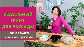 Идеальный ГРУНТ ДЛЯ РАССАДЫ - как сделать самостоятельно?