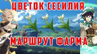 ЦВЕТОК СЕСИЛИЯ ПРОКАЧКА ВЕНТИ АЛЬБЕДО. МАРШРУТ ФАРМА