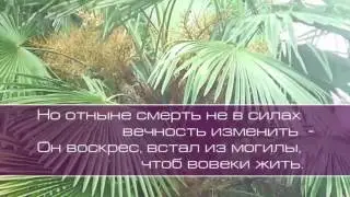 Христианское поклонение. Сборник №80