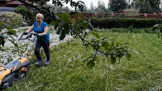 Вырастить и скосить!/Новый тюль-полночи шью/Московская встреча/