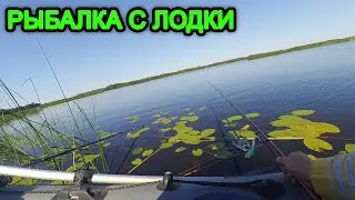 Красноперка дуреет от кукурузы. Рыбалка на удочку  с лодки.