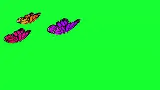 copyright free green Butterflies Flying Animation & Green Screen Effects