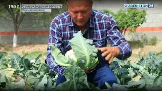 Супрежеская чита Расуловых из села Дуоба за основу взяла принцип 