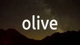 How to install Olive video editor on Linux Lite 6.2