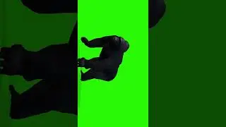 green screen KING KONG 