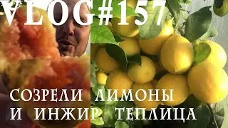 ВЛОГ