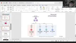 OBS Immunology: Immune Engineering
