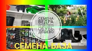 Семена оптом очень недорого. Где купила семена через Интернет магазин. МУЗЕЙ СЕМЯН в Волгограде.