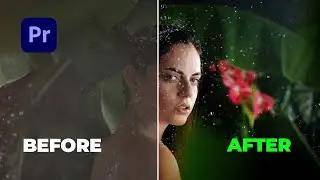 6 BEFORE and AFTER Video Transition Effects in Adobe Premiere Pro