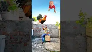 Flying crying babies Catching vs hen, parrot & puppy vs yellow lizard - Funny vfx magic 😄