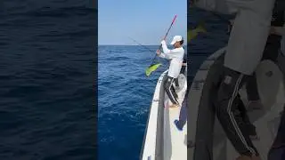 Рыбалка в Эмиратах на Фуджейре 