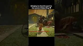 Dog Fighting in Elden Ring 🐶