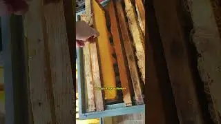 А как Мёд попадает в банку 