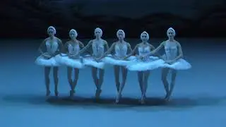 06/10/18 Dance of little swans Swan Lake Act I