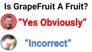 Trivia Game But I Lie Half The Time