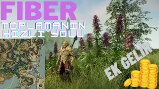 New World - Fiber (Hemps) Toplamanın Hızlı ve Kazançlı Yolu  #newworld #newworldmmo #mmorpg