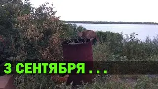 И снова 3 сентября....