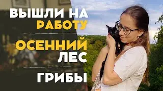 УСТРОИЛИСЬ НА РАБОТУ. ОСЕННИЙ ЛЕС. ГРИБЫ. БОЛТОВНЯ. ГУЛЯЕМ С КОШКОЙ. ПОЗДНИЕ ПЕРЕСЕЛЕНЦЫ.