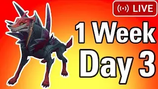 1 Week of Naafiri (Day 3)