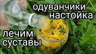 Настойка из ОДУВАНЧИКОВ для лечения суставов