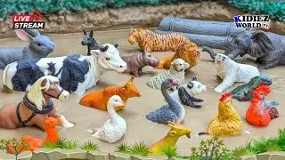 Adorable Farm Animals & Safari Zoo Animals Fun in the Mud 🐐🌿 Toddler's Adventure | Kids TV Li