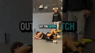 Leg Riding Series