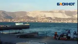 Пятно в Цемесской бухте Новороссийска никто не хочет замечать