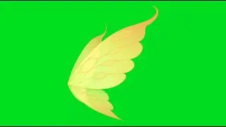 20 Fairy Wings Green Screen VFX FX Effects No Copyright MP4 Video Download