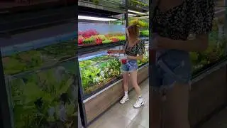 Вы кормите рыбу живыми кормами или только сухими❓🤍mashabloom.ru ❤️‍🔥 
