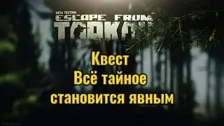 Квест Всё тайное становится явным| Терапевт