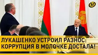 Лукашенко о схемах в молочке: МАЛО НЕ ПОКАЖЕТСЯ! Отвечать будете все жестоко, ОБНАГЛЕЛИ ДО КРАЙНОСТИ