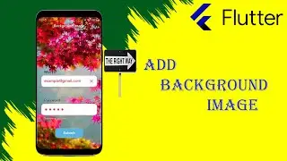 Add Background Image In Flutter Application ( Hindi )