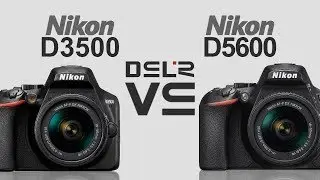 Nikon D3500 vs Nikon D5600