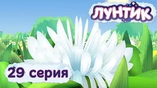 Лунтик и его друзья - 29 серия. Цветок