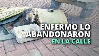 Dijeron que no querían verlo sufrir, por eso lo dejaron enfermito en la calle