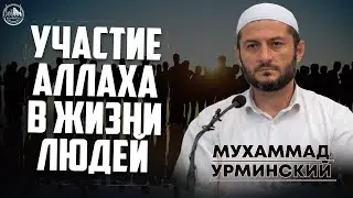 Участие Аллаха в жизни людей ( Урминский Мухаммад )