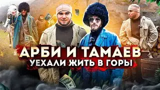 Арби и Тамаев Живут в Горах. 24 часа Работают на Ферме! Жизнь в Деревне