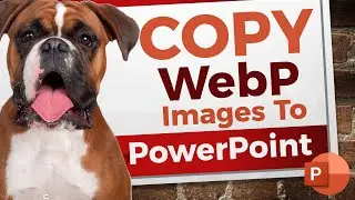 Copy & Paste WebP Images into PowerPoint