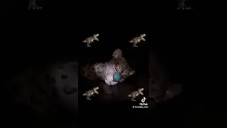 Dinosaur eats a Jaguar person ￼￼