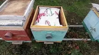 Принцип зимовки на глухом дне без утепления