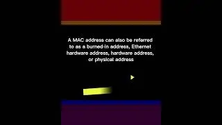 How to Find the MAC Address of Your Android